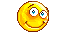 21_202