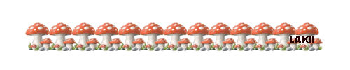 37_202