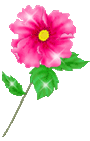 9-90